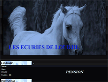 Tablet Screenshot of loudjil.com